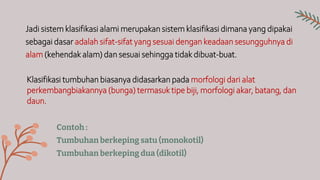 Contoh :
Tumbuhan berkeping satu (monokotil)
Tumbuhan berkeping dua (dikotil)
Jadi sistem klasifikasi alami merupakan sistem klasifikasi dimana yang dipakai
sebagai dasar adalah sifat-sifat yang sesuai dengan keadaan sesungguhnya di
alam (kehendak alam) dan sesuai sehingga tidak dibuat-buat.
Klasifikasi tumbuhan biasanya didasarkan pada morfologi dari alat
perkembangbiakannya (bunga) termasuk tipe biji, morfologi akar, batang, dan
daun.
 