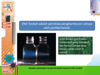 1.
Efek Tyndall adalah peristiwa penghamburan cahaya
oleh partikel koloid.
Gambar perbedaan larutan & koloid menurut Efek Tyndall
sorot lampu mobil pada
malam hari yang berkabut
dan berkas cahaya yang
melalui celah-celah di
rumah.
 
