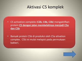 Aktivasi C5 komplek
• C5 activation compleks (C2b, C4b, C3b) mengaktifkan
protein C5 dengan jalan membelahnya menjadi C5a
dan C5b
• Banyak protein C5b di produksi oleh C5a ativation
complex. C5b ini mulai melapisi pada permukaan
bakteri.
 