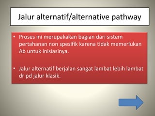 Jalur alternatif/alternative pathway
• Proses ini merupakakan bagian dari sistem
pertahanan non spesifik karena tidak memerlukan
Ab untuk inisiasinya.
• Jalur alternatif berjalan sangat lambat lebih lambat
dr pd jalur klasik.
 