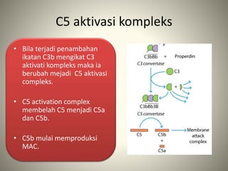 C5 aktivasi kompleks
• Bila terjadi penambahan
ikatan C3b mengikat C3
aktivati kompleks maka ia
berubah mejadi C5 aktivasi
compleks.
• C5 activation complex
membelah C5 menjadi C5a
dan C5b.
• C5b mulai memproduksi
MAC.
 