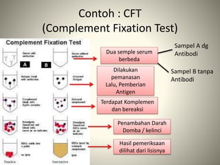 Contoh : CFT
(Complement Fixation Test)
Dua semple serum
berbeda
Sampel A dg
Antibodi
Sampel B tanpa
Antibodi
A B
Dilakukan
pemanasan
Lalu, Pemberian
Antigen
Terdapat Komplemen
dan bereaksi
Penambahan Darah
Domba / kelinci
Hasil pemeriksaan
dilihat dari lisisnya
 