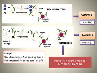 SAMPEL A
SAMPEL B
Perubahan Warna menjadi
MERAH MUDA/PINK
Fungsi
Untuk menguji Antibodi yg hadir
dan menguji keberadaan spesifik
Positif (+)
Negatif (-)
 