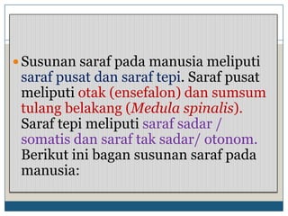  Susunan saraf pada manusia meliputi
 saraf pusat dan saraf tepi. Saraf pusat
 meliputi otak (ensefalon) dan sumsum
 tulang belakang (Medula spinalis).
 Saraf tepi meliputi saraf sadar /
 somatis dan saraf tak sadar/ otonom.
 Berikut ini bagan susunan saraf pada
 manusia:
 