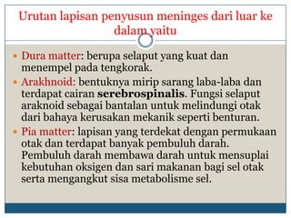 Urutan lapisan penyusun meninges dari luar ke
                  dalam yaitu

 Dura matter: berupa selaput yang kuat dan
  menempel pada tengkorak.
 Arakhnoid: bentuknya mirip sarang laba-laba dan
  terdapat cairan serebrospinalis. Fungsi selaput
  araknoid sebagai bantalan untuk melindungi otak
  dari bahaya kerusakan mekanik seperti benturan.
 Pia matter: lapisan yang terdekat dengan permukaan
  otak dan terdapat banyak pembuluh darah.
  Pembuluh darah membawa darah untuk mensuplai
  kebutuhan oksigen dan sari makanan bagi sel otak
  serta mengangkut sisa metabolisme sel.
 
