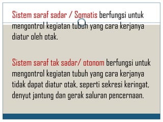 Sistem saraf sadar / Somatis berfungsi untuk
mengontrol kegiatan tubuh yang cara kerjanya
diatur oleh otak.

Sistem saraf tak sadar/ otonom berfungsi untuk
mengontrol kegiatan tubuh yang cara kerjanya
tidak dapat diatur otak, seperti sekresi keringat,
denyut jantung dan gerak saluran pencernaan.
 
