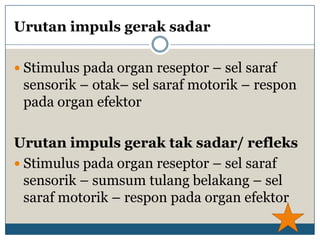 Urutan impuls gerak sadar

 Stimulus pada organ reseptor – sel saraf
 sensorik – otak– sel saraf motorik – respon
 pada organ efektor

Urutan impuls gerak tak sadar/ refleks
 Stimulus pada organ reseptor – sel saraf
  sensorik – sumsum tulang belakang – sel
  saraf motorik – respon pada organ efektor
 