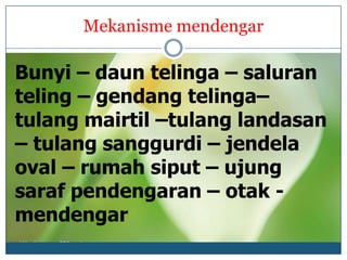 Mekanisme mendengar

Bunyi – daun telinga – saluran
teling – gendang telinga–
tulang mairtil –tulang landasan
– tulang sanggurdi – jendela
oval – rumah siput – ujung
saraf pendengaran – otak -
mendengar
 