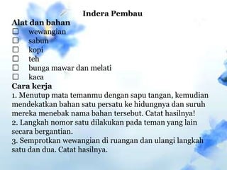 Indera Pembau
Alat dan bahan
 wewangian
 sabun
 kopi
 teh
 bunga mawar dan melati
 kaca
Cara kerja
1. Menutup mata temanmu dengan sapu tangan, kemudian
mendekatkan bahan satu persatu ke hidungnya dan suruh
mereka menebak nama bahan tersebut. Catat hasilnya!
2. Langkah nomor satu dilakukan pada teman yang lain
secara bergantian.
3. Semprotkan wewangian di ruangan dan ulangi langkah
satu dan dua. Catat hasilnya.
 