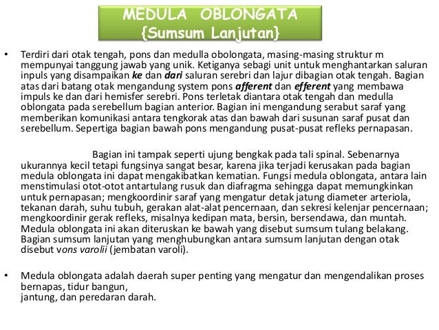 Sistem Koordinasi 21514695