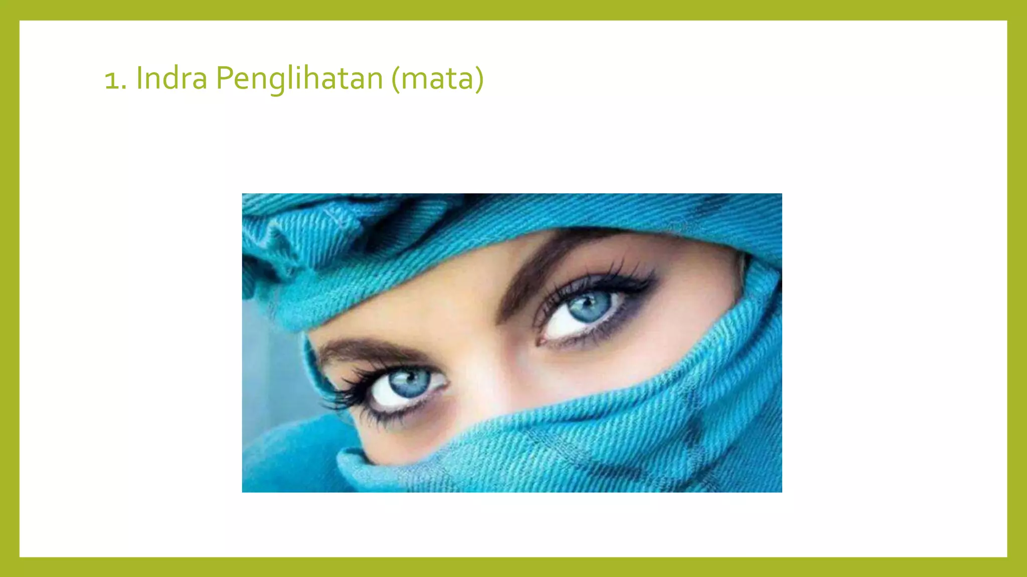 1. Indra Penglihatan (mata)
 