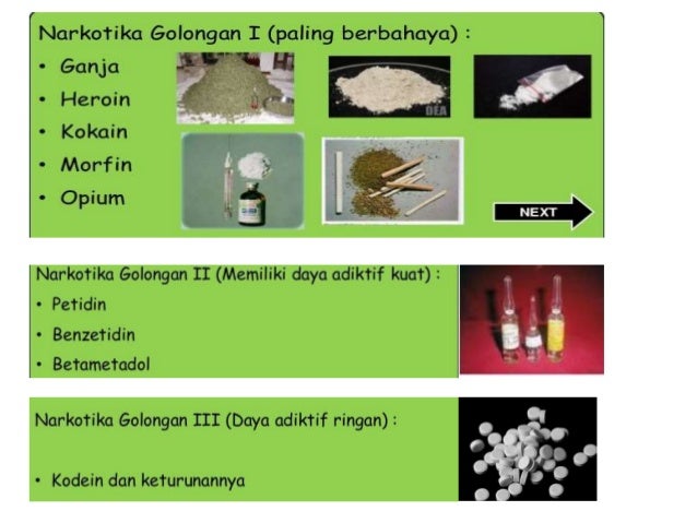 SISTEM KOORDINASI PADA MANUSIA DAN HEWAN