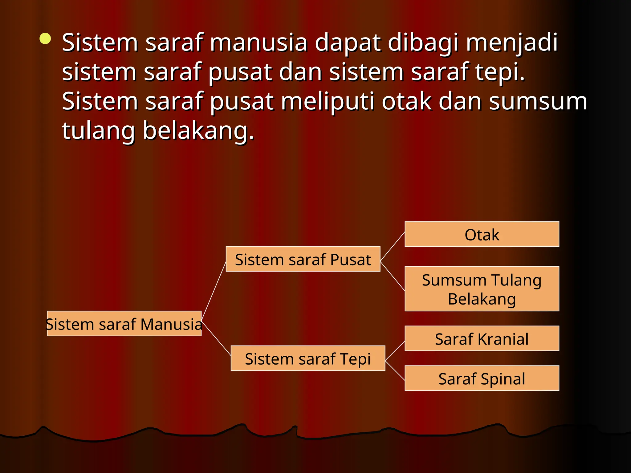  Sistem saraf manusia dapat dibagi menjadi
Sistem saraf manusia dapat dibagi menjadi
sistem saraf pusat dan sistem saraf tepi.
sistem saraf pusat dan sistem saraf tepi.
Sistem saraf pusat meliputi otak dan sumsum
Sistem saraf pusat meliputi otak dan sumsum
tulang belakang.
tulang belakang.
Sistem saraf Manusia
Otak
Sumsum Tulang
Belakang
Sistem saraf Pusat
Sistem saraf Tepi
Saraf Spinal
Saraf Kranial
 