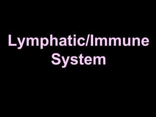 Lymphatic/Immune
    System
 