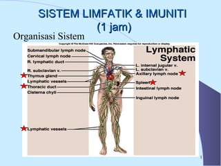 SSIISSTTEEMM LLIIMMFFAATTIIKK && IIMMUUNNIITTII 
((11 jjaamm)) 
Organisasi Sistem 
1 
 