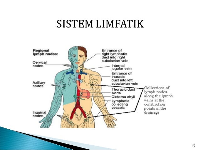 Tidur Menggunakan Bra Atau Tidak? Simak Penjelasannya!