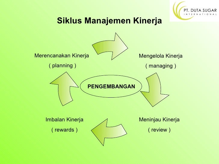 Sistem manajemen kinerja PT DSI Sistem manajemen kinerja PT DSI