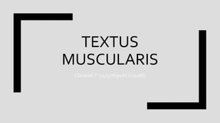 TEXTUS
MUSCULARIS
Clarasati F (15/377692/KG/10188)
 