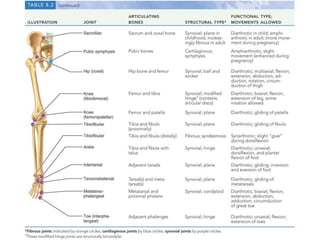 Comprehensive Overview of Muscular System and Joint Anatomy | PDF