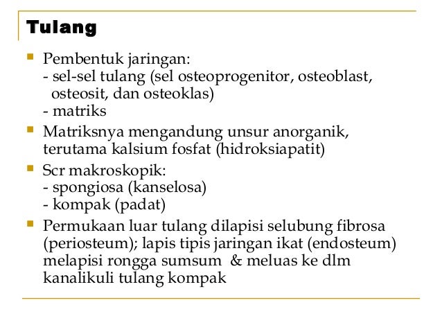 Sistem Muskuloskeletal