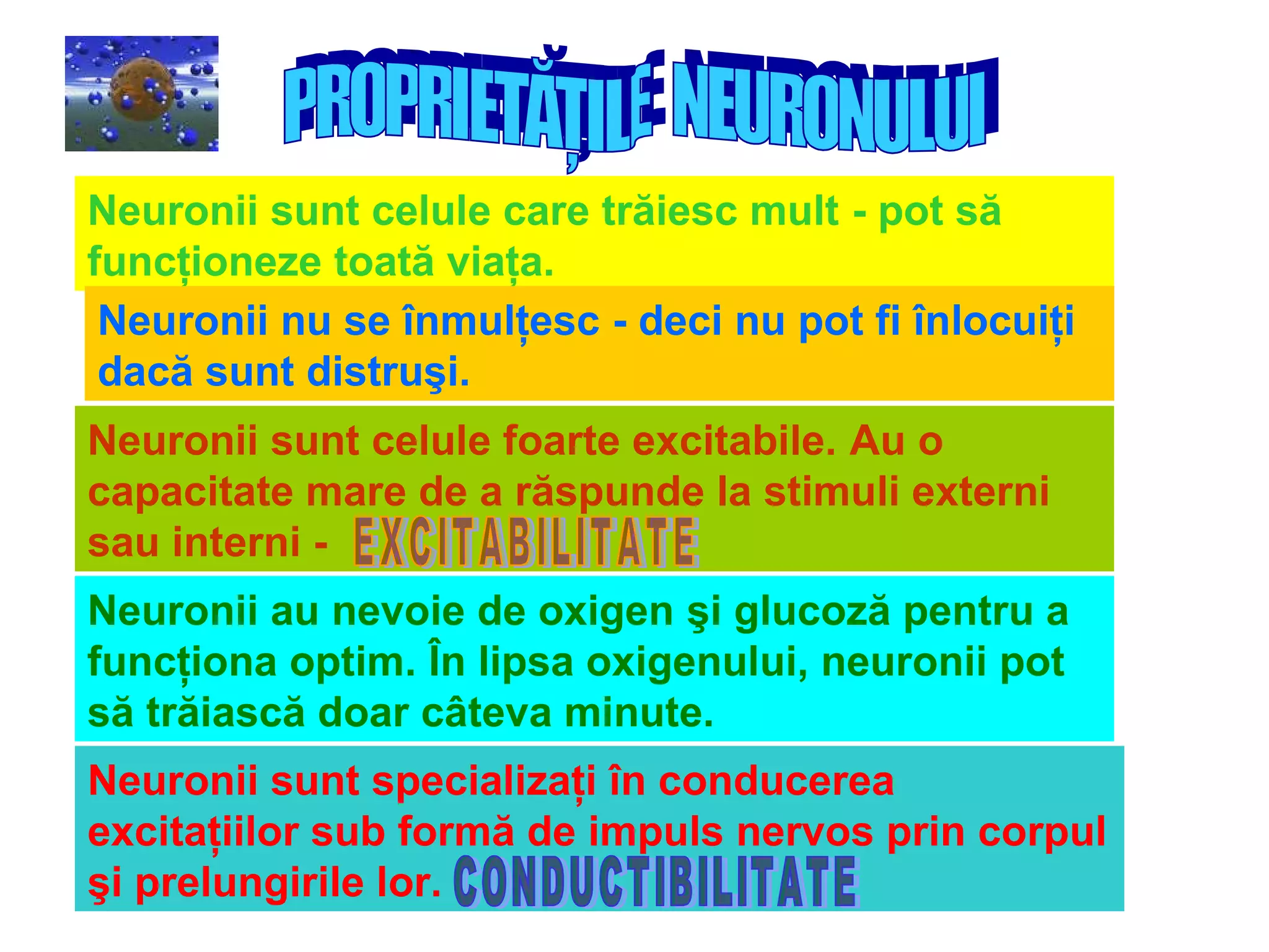 Sistem nervos | PPT