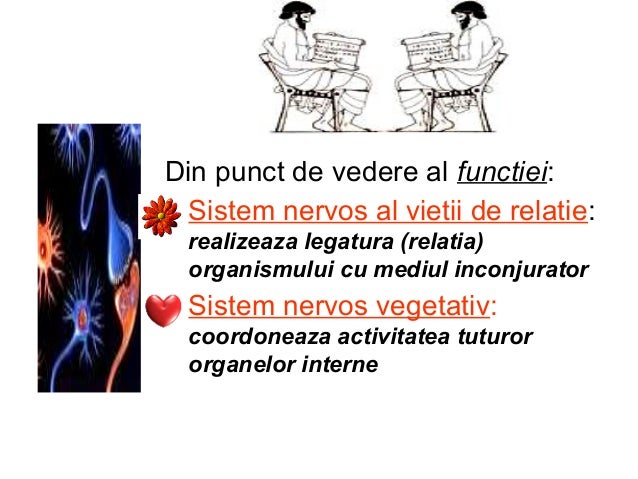 Sistem Nervos