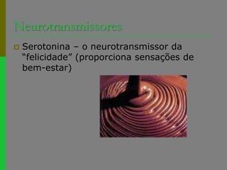 NeurotransmissoresSerotonina – o neurotransmissor da “felicidade” (proporciona sensações de bem-estar)