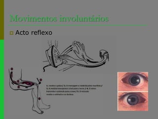 Movimentos involuntáriosActo reflexo