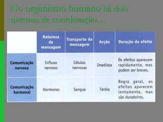 No organismo humano há dois sistemas de coordenação…