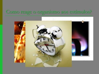 Como reage o organismo aos estímulos?