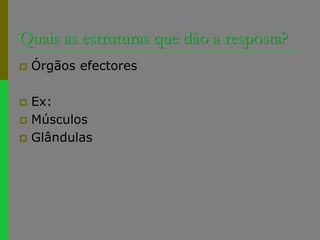 Quais as estruturas que dão a resposta?Órgãos efectoresEx:MúsculosGlândulas