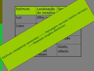 Estímulo (receptores sensoriais) ----- Mensagem nervosa (centro nervoso) -----Resposta (órgãos efectores)