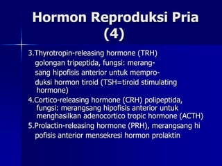 Testis (6)
Fungsi Luteinizing hormone (LH)
LH=interstitial cell stimulating hormone
(ICSH), pada pria LH disekresi oleh
hi...
