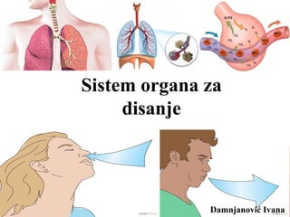 Sistem organa za
disanje
Damnjanović Ivana
 