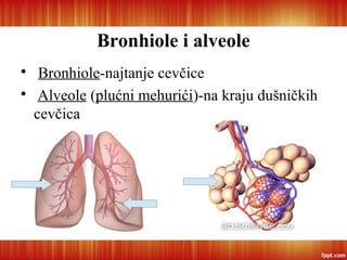 Spoljašnje i ćelijsko disanje

Spoljašnje-na nivou pluća (razmena gasova
između vazduha u alveolama i kapilarima koji
obl...