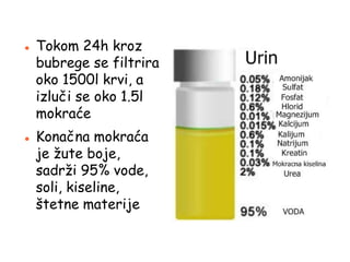  Tokom 24h kroz
bubrege se filtrira
oko 1500l krvi, a
izluči se oko 1.5l
mokraće
 Konačna mokraća
je žute boje,
sadrži 95% vode,
soli, kiseline,
štetne materije
 
