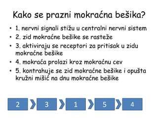 Kako se prazni mokraćna bešika?
• 1. nervni signali stižu u centralni nervni sistem
• 2. zid mokraćne bešike se rasteže
• 3. aktiviraju se receptori za pritisak u zidu
mokraćne bešike
• 4. mokraća prolazi kroz mokraćnu cev
• 5. kontrahuje se zid mokraćne bešike i opušta
kružni mišić na dnu mokraćne bešike
2 3 1 5 4
 