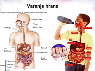 Varenje hrane
 