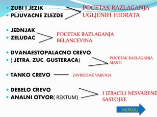  ZUBI I JEZIK
 PLJUVACNE ZLEZDE
 JEDNJAK
 ZELUDAC
 DVANAESTOPALACNO CREVO
 ( JETRA, ZUC, GUSTERACA)
 TANKO CREVO
 DEBELO CREVO
 ANALNI OTVOR( REKTUM)
POCETAK RAZLAGANJA
UGLJENIH HIDRATA
POCETAK RAZLAGANJA
BELANCEVINA
POCETAK RAZLAGANJA
MASTI
ZAVRSETAK VARENJA
I IZBACILI NESVARENE
SASTOJKE
SADRZAJ
 