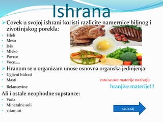 IshranaCovek u svojoj ishrani koristi razlicite namernice biljnog i
zivotinjskog porekla:
• Hleb
• Meso
• Jaja
• Mleko
• Povrce
• Voce.....
 Hranom se u organizam unose osnovna organska jedinjenja:
• Ugljeni hidrati
• Masti zato se ove materije nazivaju
• Belancevine hranjive materije!!!
Ali i ostale neophodne supstance:
• Voda
• Mineralne soli
• vitamini sadrzaj
 