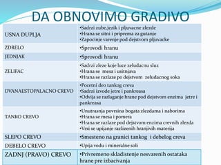 DA OBNOVIMO GRADIVO
USNA DUPLJA
•Sadrzi zube,jezik i pljuvacne zlezde
•Hrana se sitni i priprema za gutanje
•Zapocinje varenje pod dejstvom pljuvacke
ZDRELO •Sprovodi hranu
JEDNJAK •Sprovodi hranu
ZELIFAC
•Sadrzi zleze koje luce zeludacnu sluz
•Hrana se mesa i usitnjava
•Hrana se razlaze po dejstvom zeludacnog soka
DVANAESTOPALACNO CREVO
•Pocetni deo tankog creva
•Sadrzi izvode jetre i pankreasa
•Odvija se razlaganje hrane pod dejstvom enzima jetre i
pankreasa
TANKO CREVO
•Unutrasnja povrsina bogata zlezdama i naborima
•Hrana se mesa i pomera
•Hrana se razlaze pod dejstvom enzima crevnih zlezda
•Vrsi se upijanje razlizenih hranjivih materija
SLEPO CREVO •Smesteno na granici tankog i debelog creva
DEBELO CREVO •Upija vodu i mineralne soli
ZADNJ (PRAVO) CREVO •Privremeno skladistenje nesvarenih ostataka
hrane pre izbacivanja
 