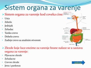 Sistem organa za varenje
Sistem organa za varenje kod coveka cine:
• Usta
• Zdrelo
• Jednjak
• Zeludac
• Tanko crevo
• Debelo crevo
• Zadnje crevo sa analnim otvorom
 Zlezde koje luce enzime za varenje hrane nalaze se u sastavu
organa za varenje:
• Pljuvacne zlezde
• Zeludacne
• Crevne zlezde
• Jetra i pankreas
sadrzaj
 