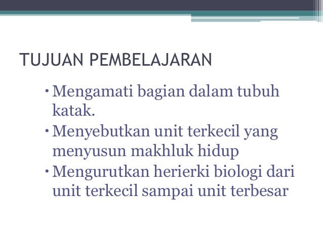 Sistem organisasi kehidupan