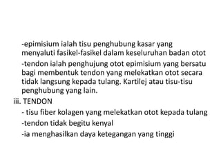 	-epimisiumialahtisupenghubungkasar yang menyalutifasikel-fasikeldalamkeseluruhanbadanotot	-tendon ialahpenghujungototepimisium yang bersatubagimembentuk tendon yang melekatkanototsecaratidaklangsungkepadatulang. Kartilejatautisu-tisupenghubung yang lain.iii. TENDON- tisu fiber kolagen yang melekatkanototkepadatulang-tendon tidakbegitukenyal-iamenghasilkandayaketegangan yang tinggi