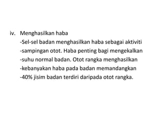 Menghasilkanhaba-Sel-selbadanmenghasilkanhabasebagaiaktiviti-sampinganotot. Habapentingbagimengekalkan-suhunormal badan. Ototrangkamenghasilkan-kebanyakanhabapadabadanmemandangkan-40% jisimbadanterdiridaripadaototrangka.