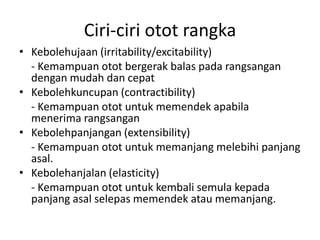 Ciri-ciriototrangkaKebolehujaan (irritability/excitability)	- KemampuanototbergerakbalaspadarangsangandenganmudahdancepatKebolehkuncupan (contractibility)	- KemampuanototuntukmemendekapabilamenerimarangsanganKebolehpanjangan (extensibility)- Kemampuanototuntukmemanjangmelebihipanjangasal.Kebolehanjalan(elasticity)	- Kemampuanototuntukkembalisemulakepadapanjangasalselepasmemendekataumemanjang.