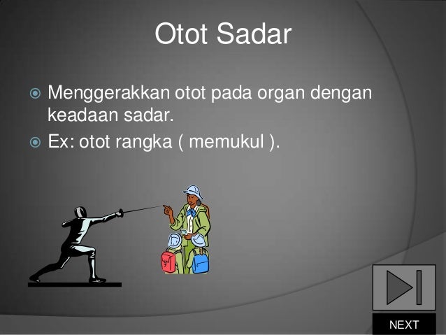 Sistem otot Sistem otot