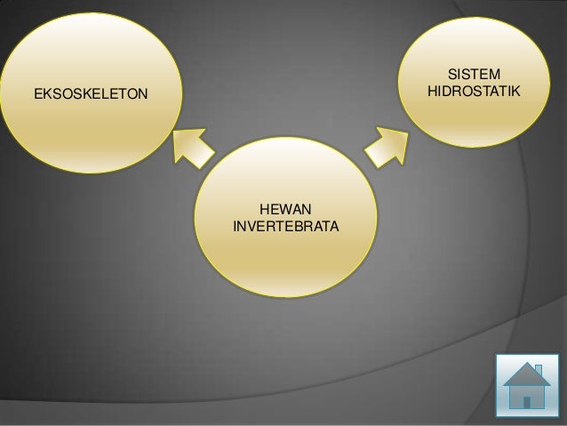 Sistem otot