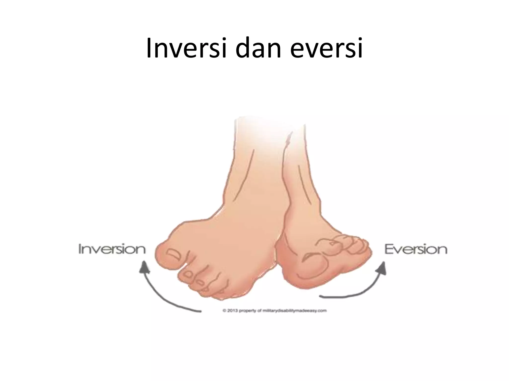 Inversi dan eversi
 