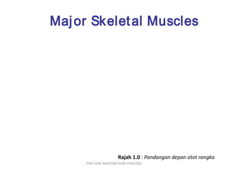 Maj or Skelet al Muscles




                      Rajah 1.0 : Pandangan depan otot rangka
     PJM 3106 ANATOMI DAN FISIOLOGI
 